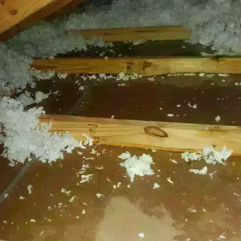 Attic Water Damage in Hamburg, NY