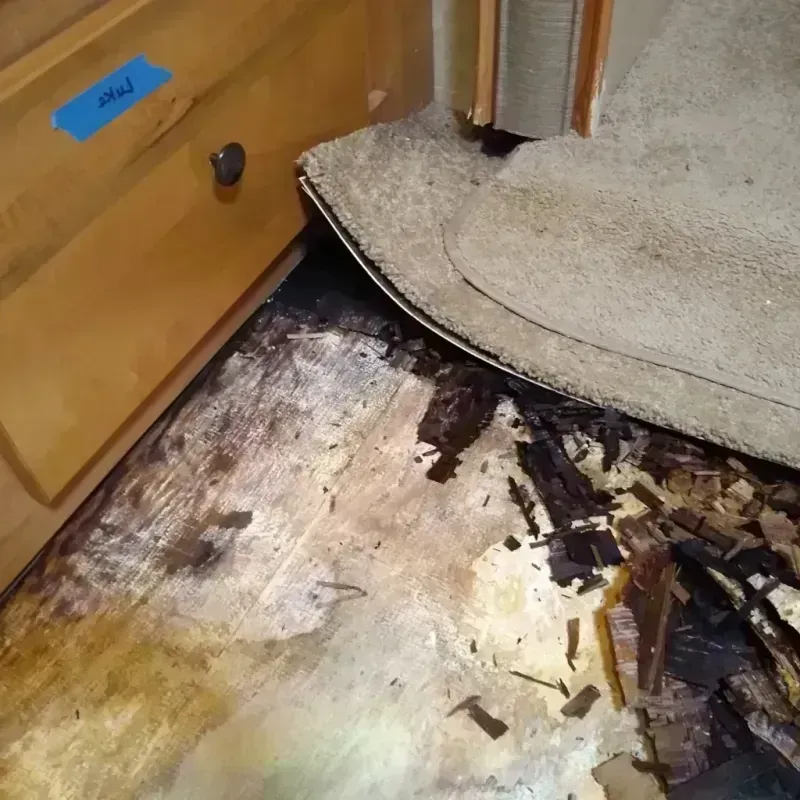 Wood Floor Water Damage in Hamburg, NY